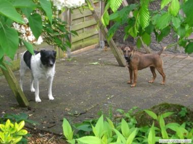 Bella und Motte